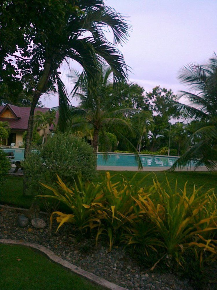 Bohol Divers Resort Totolan Exterior photo